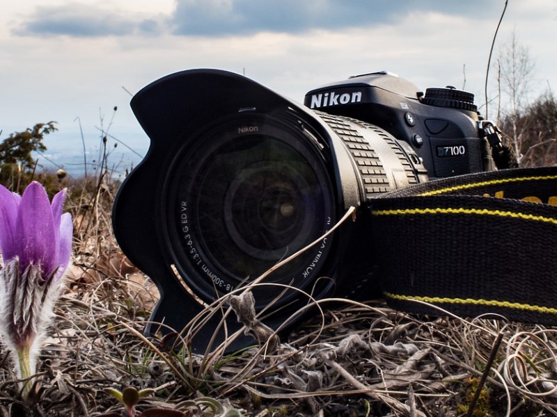 Les meilleurs documentaires sur les plantes et la&nbsp;botanique
