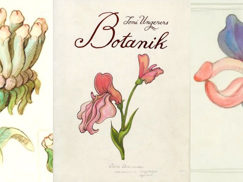 Bouquets de fleurs et cartes pistils – le sexe des&nbsp;plantes