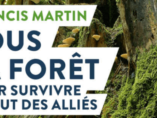 Plantocritique #1 – Sous la forêt, de Francis&nbsp;Martin