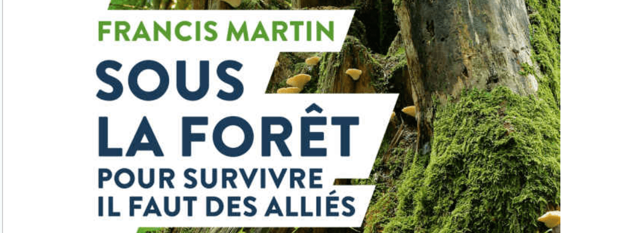 sous la foret