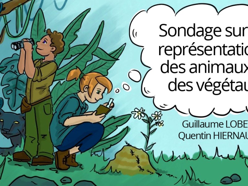 Sondage sur la représentation des animaux et des&nbsp;végétaux