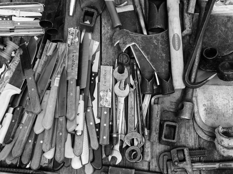 Découvrir les plantes, une boîte à outils&nbsp;!