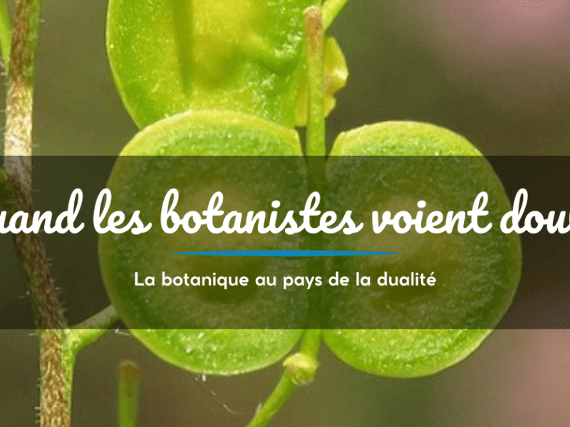 Quand les botanistes voient&nbsp;double