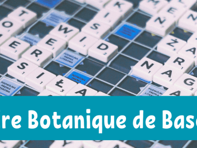 Le vocabulaire botanique
