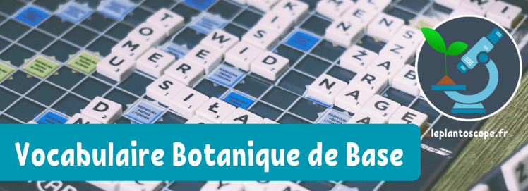 Le vocabulaire botanique