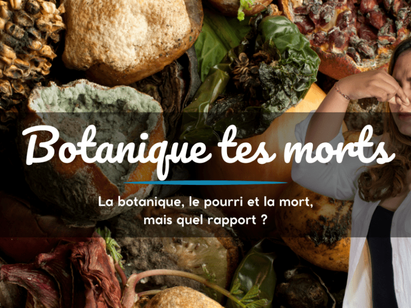 Botanique tes morts