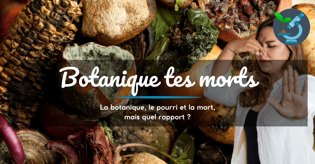 botanique tes morts, botanique, mort etpourri