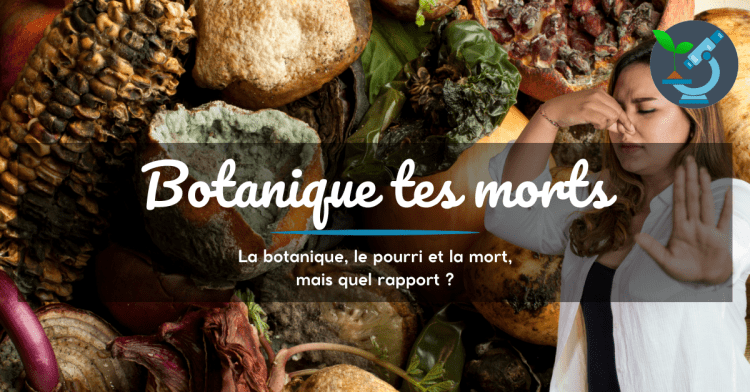Botanique tes morts